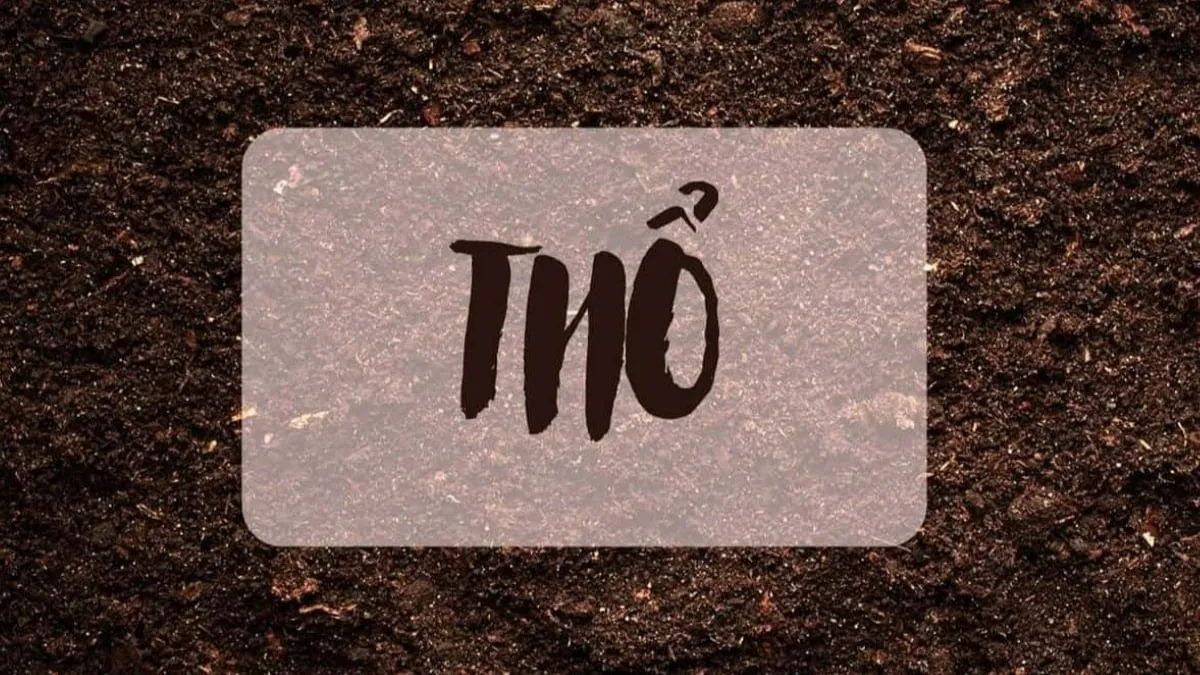 Đặc điểm tính cách ổn định, trung thực của người tuổi Bính Thìn 1976