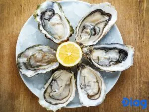 Hàu, cá hồi... giúp hỗ trợ sự phát triển của thai nhi và đảm bảo sức khỏe cho người mẹ