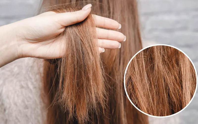 Phụ nữ trẻ đang kiểm tra tình trạng tóc khô xơ trước khi tìm cách phục hồi