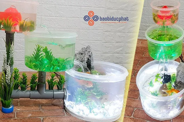 Bể cá làm từ can nhựa tái chế