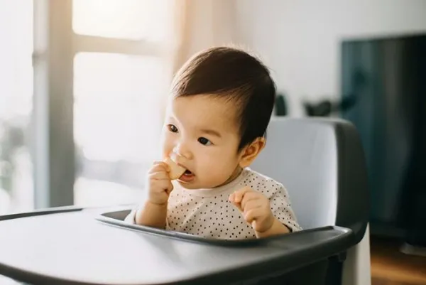 Em bé ngồi thẳng lưng đang tự đưa bánh ăn dặm vào miệng một cách cẩn thận và thích thú