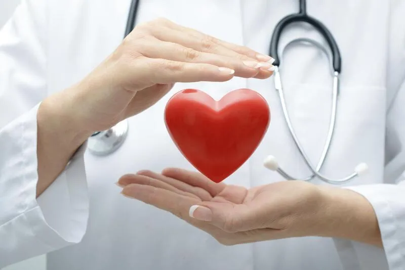 Một trái tim khỏe mạnh, tượng trưng cho lợi ích của gạo lứt trong việc hỗ trợ sức khỏe tim mạch