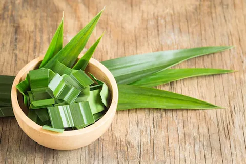 Lá dứa tươi xanh mướt, thường được gọi là lá nếp thơm