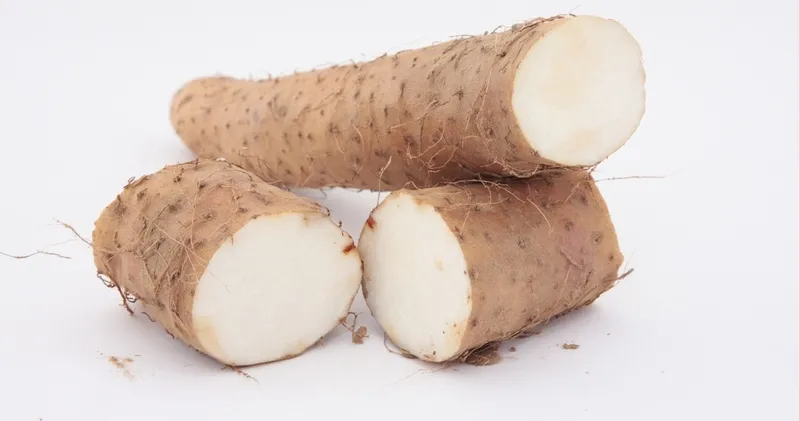 Củ từ bao nhiêu calo? Ăn củ từ có tăng cân không? 2