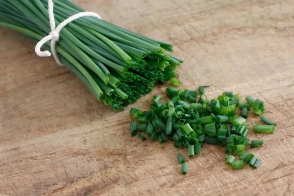 Hình ảnh đặc trưng của cây lá hẹ xanh tươi trên đồng ruộng