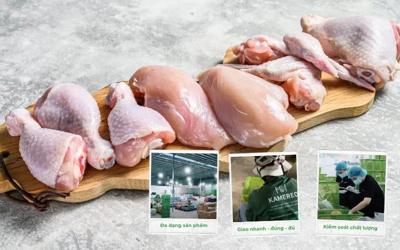 Kamereo là nhà cung cấp thịt gà tươi ngon, uy tín cho các nhà hàng và gia đình