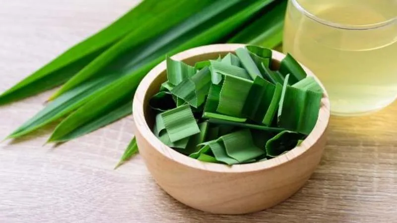 Thành phần tinh dầu quý giá trong lá dứa thơm mang lại nhiều lợi ích cho sức khỏe