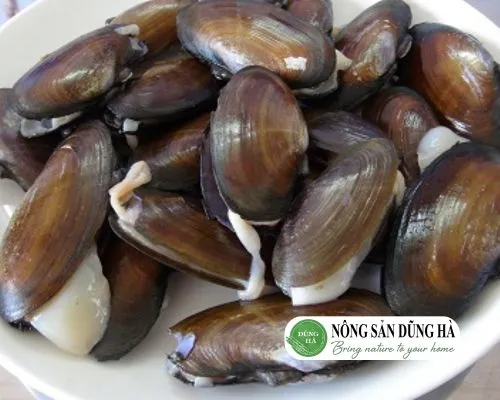 Mua trai sông ở đâu uy tín