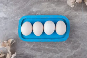 “Trượt vỏ chuối” là vấn đề không thí sinh nào muốn khi đi thi