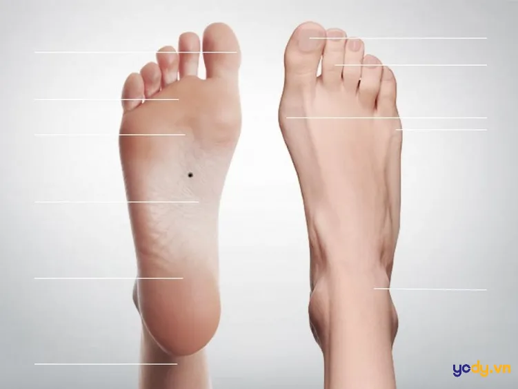 Nốt ruồi son đem lại may mắn