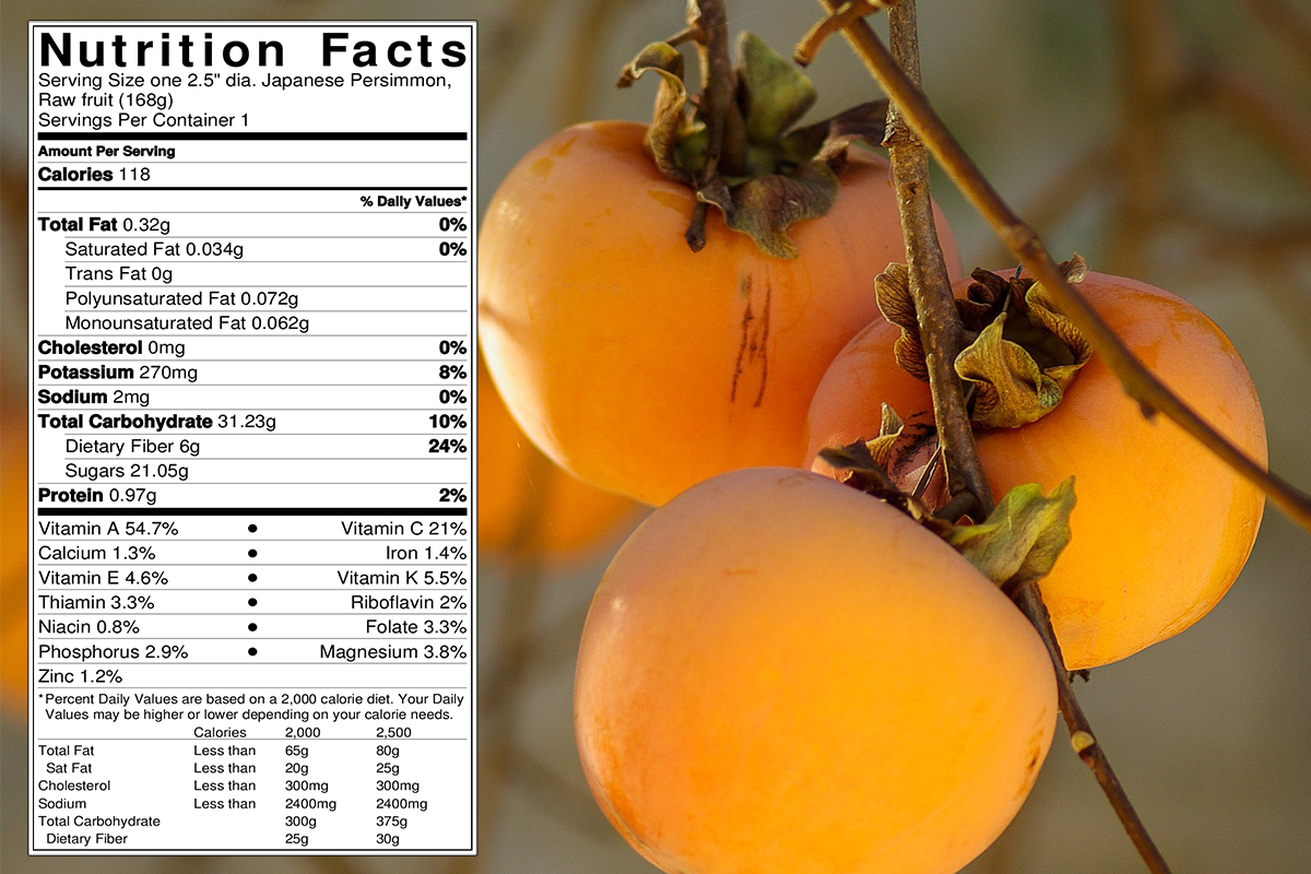 persimmon-nutrition-info-wide_71ccd48944614bd7b678f468c6944f10_master