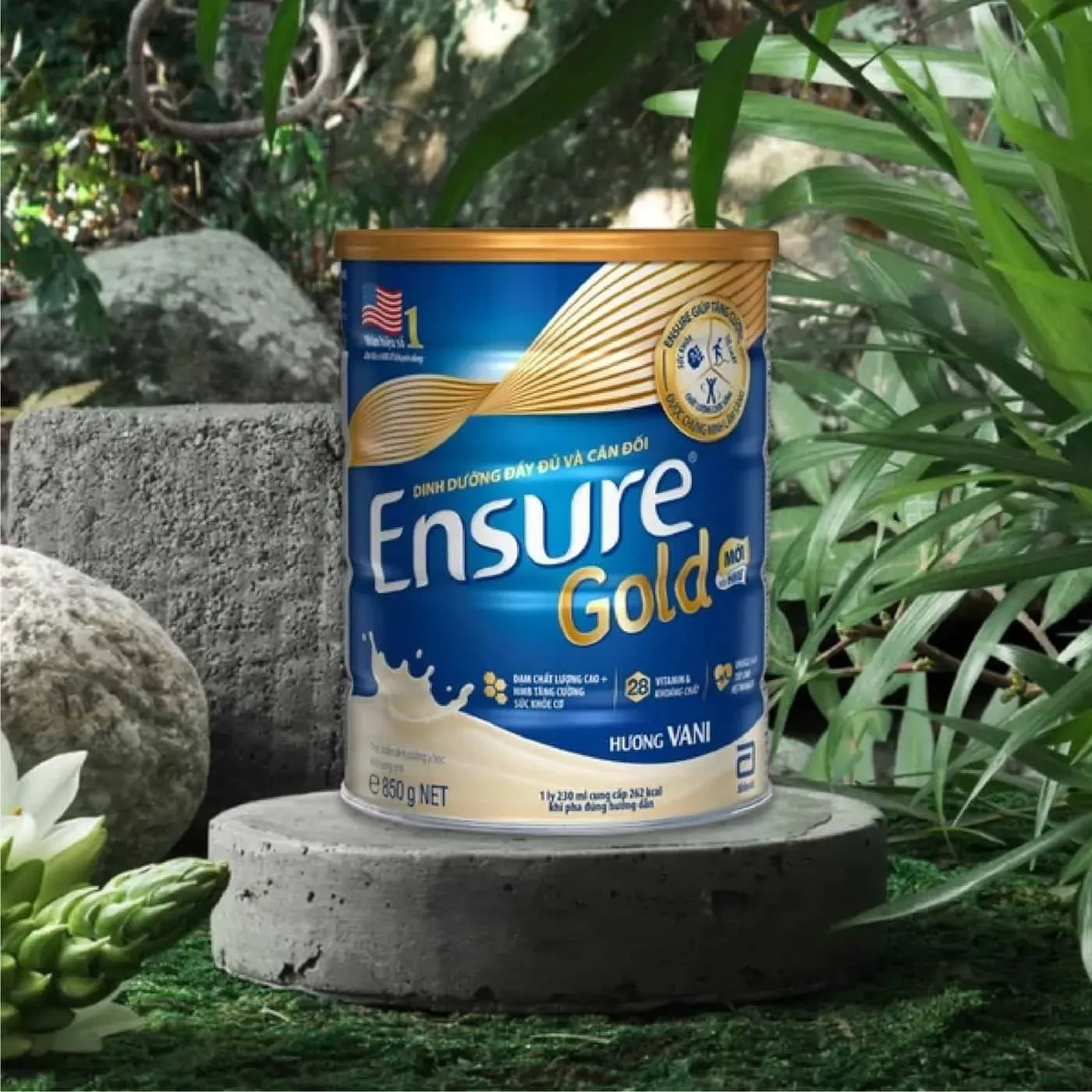 Hộp sữa Ensure Gold từ Abbott, tốt cho xương khớp người trung niên