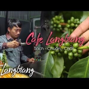 Cà phê Original túi lọc, đắng nhẹ, thơm sâu - Hộp 10 túi
