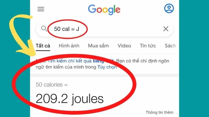 Minh họa cách đổi Calo sang Jun bằng Google