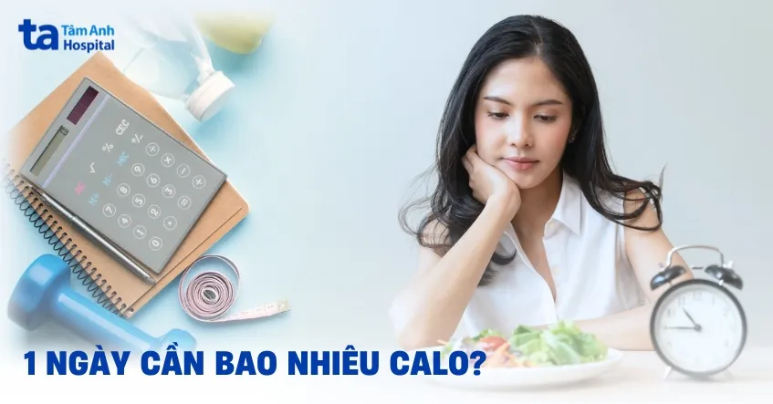 Mô tả tổng quan về lượng calo cần thiết cho cơ thể trong một ngày