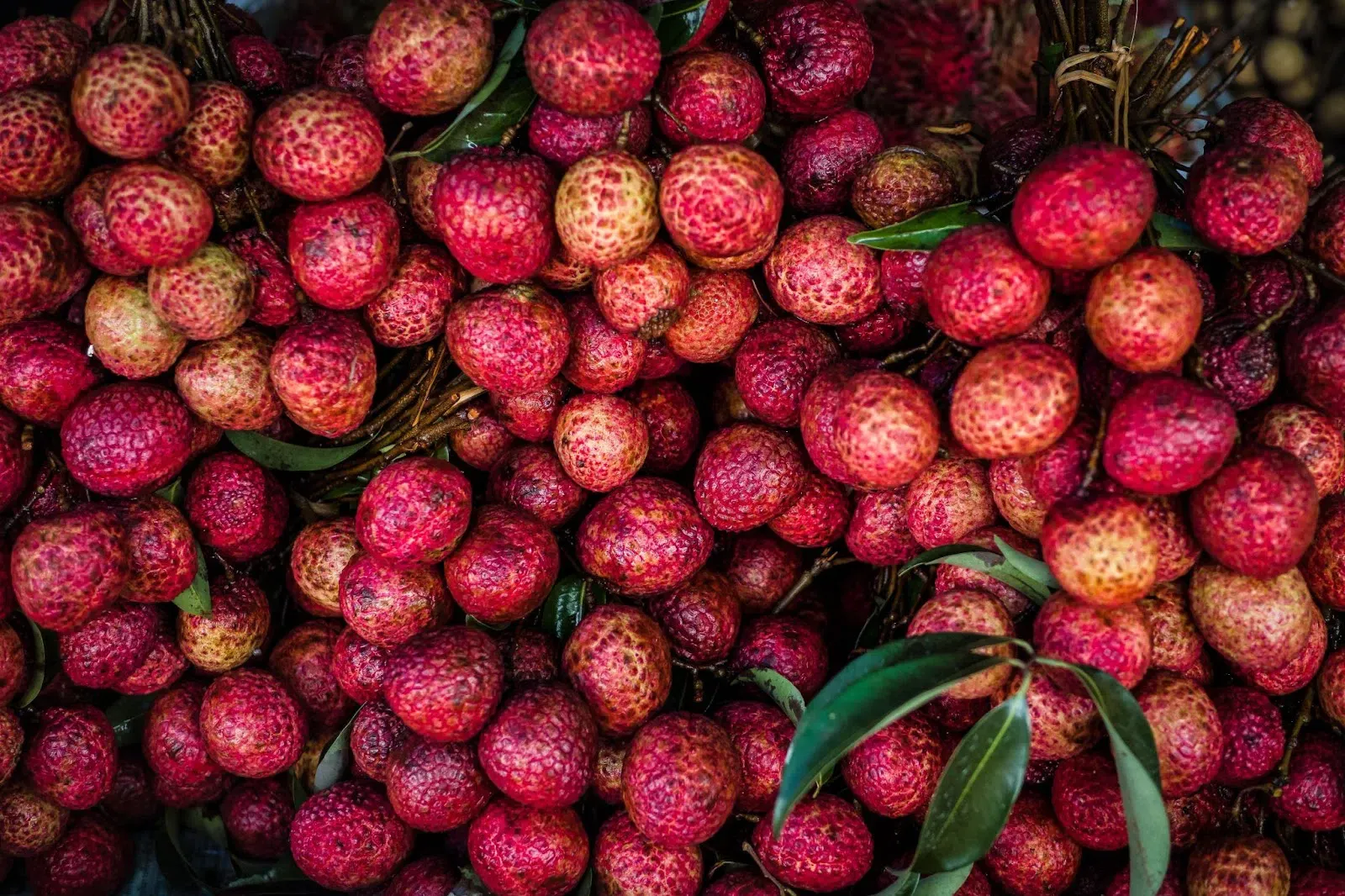 Giá trị dinh dưỡng của quả vải tươi ngon