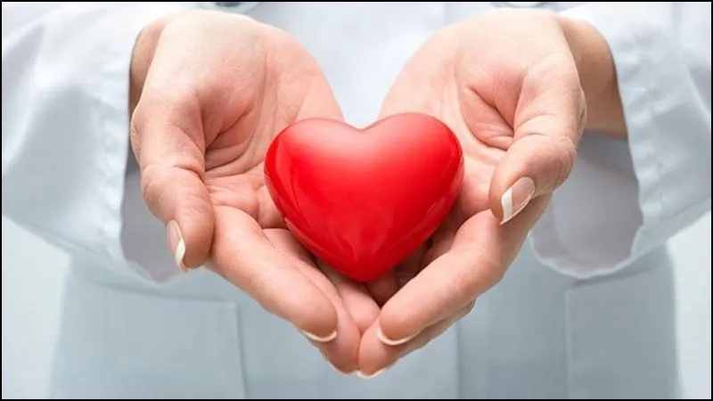 Lá dương xỉ giàu kali, rất tốt cho sức khỏe tim mạch và huyết áp
