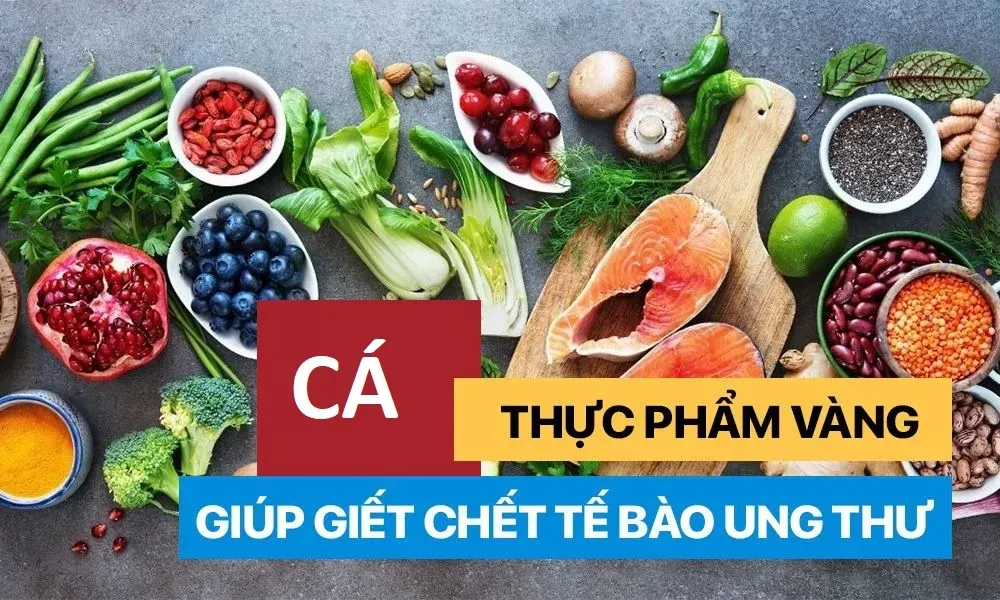 Omega-3 trong cá có vai trò quan trọng trong việc phòng chống nhiều bệnh ung thư