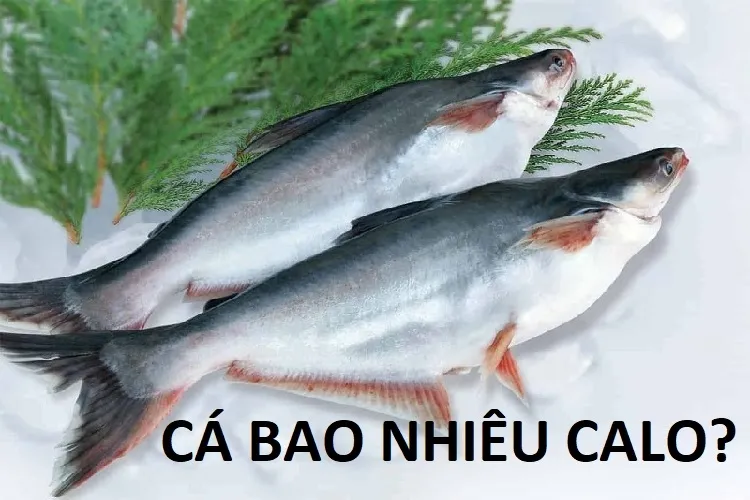 Cá tươi ngon, đầy dinh dưỡng, là lựa chọn tuyệt vời cho bữa ăn lành mạnh của bạn