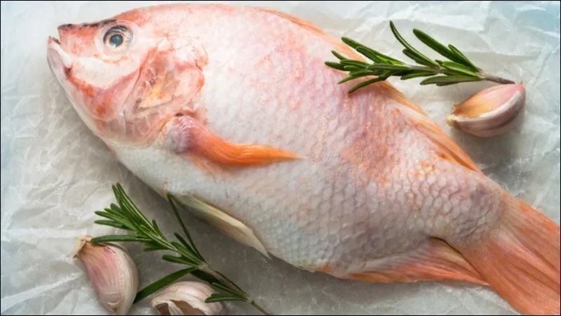 Bạn có thể thêm cá diêu hồng vào thực đơn ăn kiêng giảm cân của mình