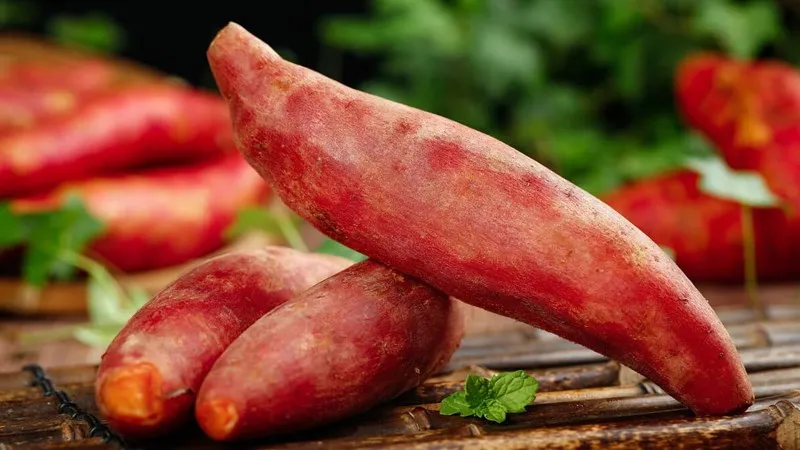 Một củ khoai lang luộc nguyên vỏ đặt trên đĩa, minh họa hàm lượng calo trong 100g khoai lang