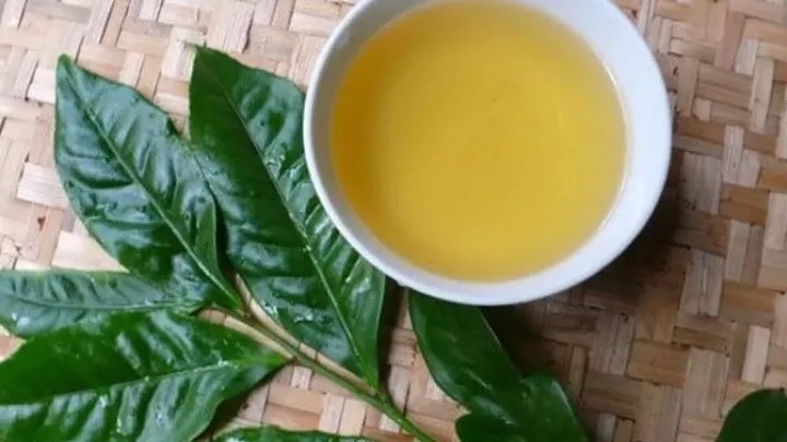Nước vối thanh mát, mang lại nhiều lợi ích cho sức khỏe