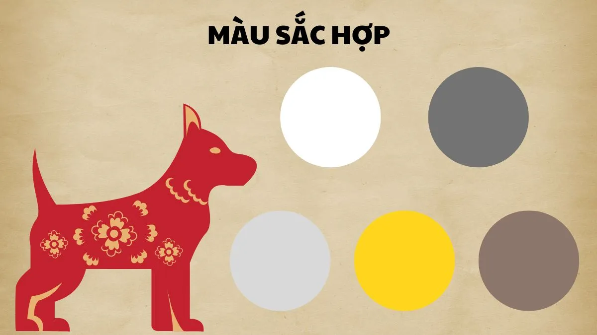 Người sinh năm 1970 mệnh Kim hợp với các màu như trắng, xám, ghi, vàng sẫm và nâu đất, mang lại may mắn và thịnh vượng