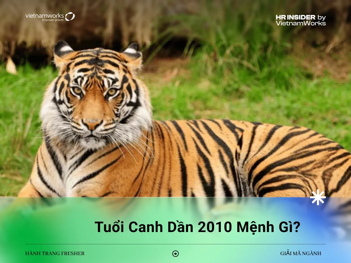 Người sinh năm 2010 mệnh Mộc, nạp âm Tùng Bách Mộc, biểu tượng cho cây đại thụ kiên cường.