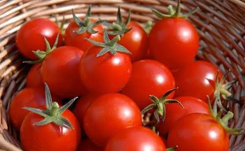 Ăn cà chua làm giảm nguy cơ trầm cảm
