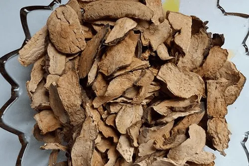 Dược liệu ô dược cần được sơ chế cẩn thận trước khi đưa vào sử dụng