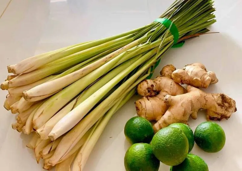 Cây sả được sử dụng rộng rãi trong các bài thuốc dân gian