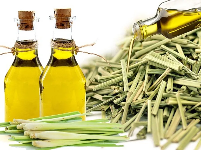 Lọ tinh dầu sả thơm nồng, mang lại cảm giác thư giãn