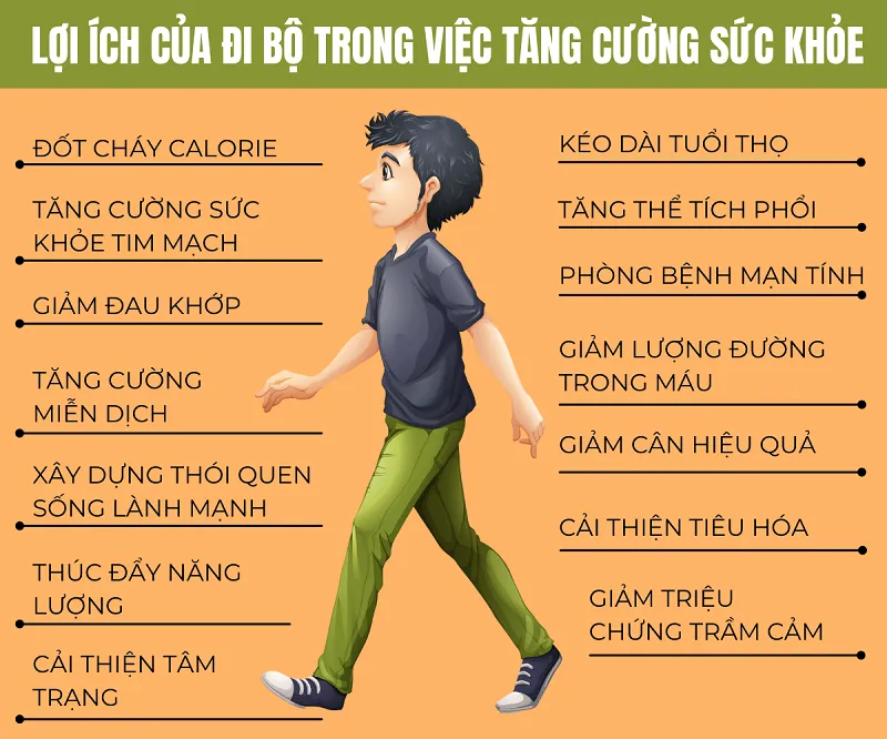 Biểu đồ minh họa các lợi ích sức khỏe đa dạng mà việc đi bộ mang lại