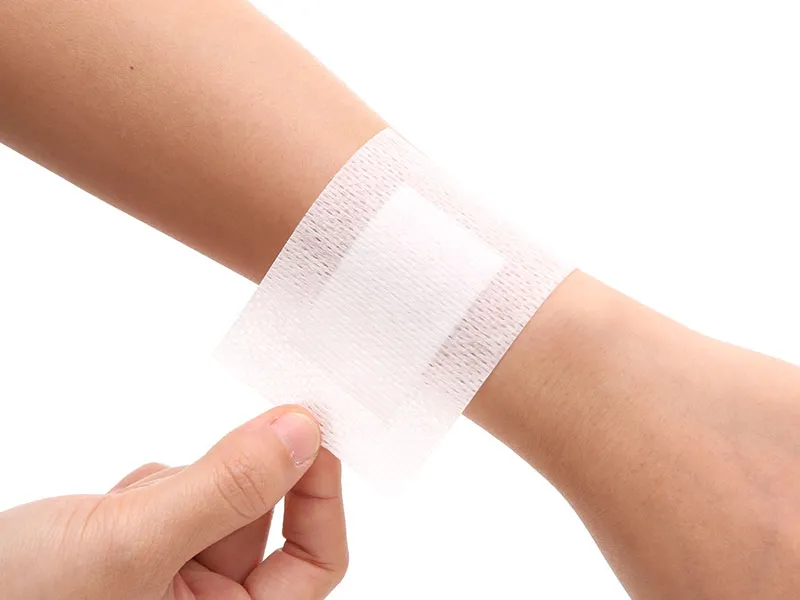Cây ô rô cạn với khả năng cầm máu hiệu quả