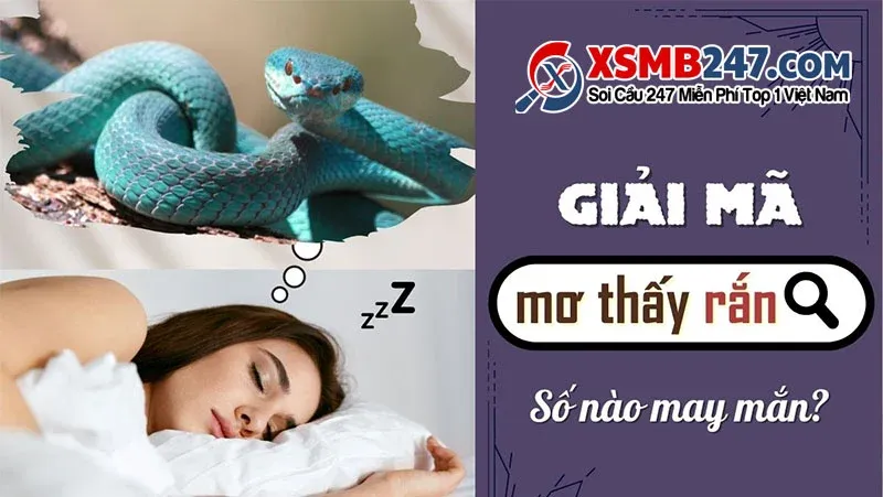 Bức ảnh minh họa các biểu tượng và hình ảnh liên quan đến giải mã giấc mơ về rắn, bao gồm các loại rắn và chi tiết tượng trưng