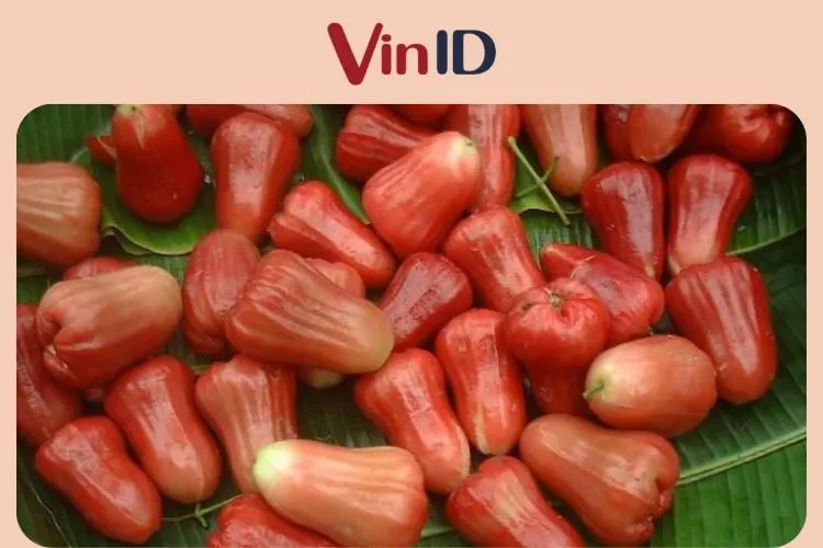 Ăn quá nhiều mận 1 lúc sẽ phản tác dụng