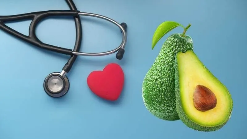 Bơ chứa nhiều chất chống oxy hóa giúp bảo vệ sức khỏe tim mạch