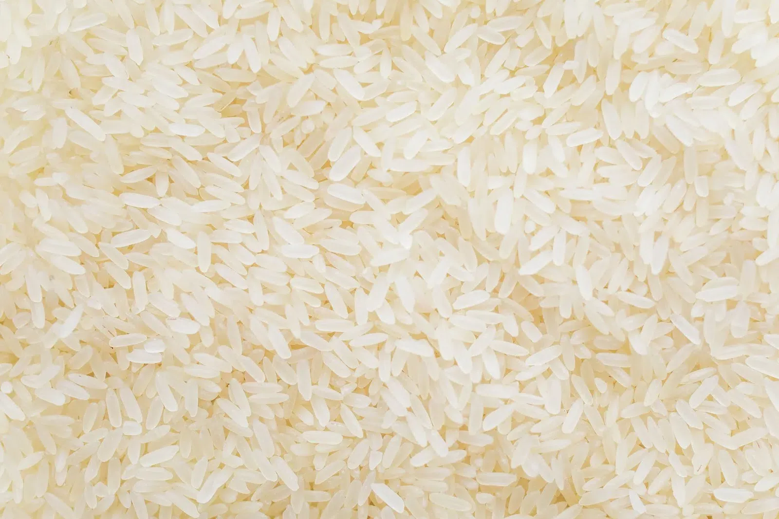 Người phụ nữ cân nhắc khẩu phần cơm trắng để kiểm soát cân nặng