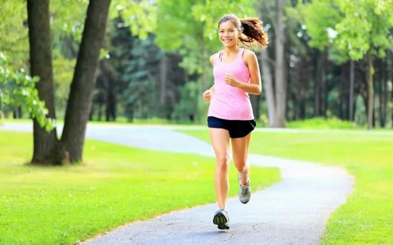 Sapoche cung cấp đường tự nhiên, bổ sung năng lượng ngay lập tức cho cơ thể