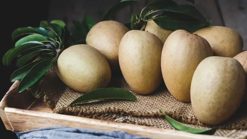 Hồng xiêm với hàm lượng dinh dưỡng cao