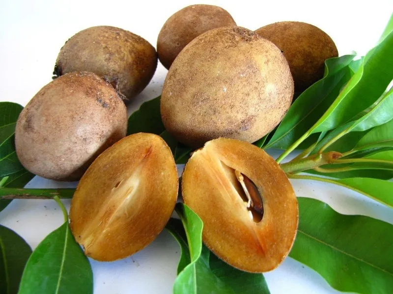 Lợi ích sức khỏe từ việc ăn hồng xiêm