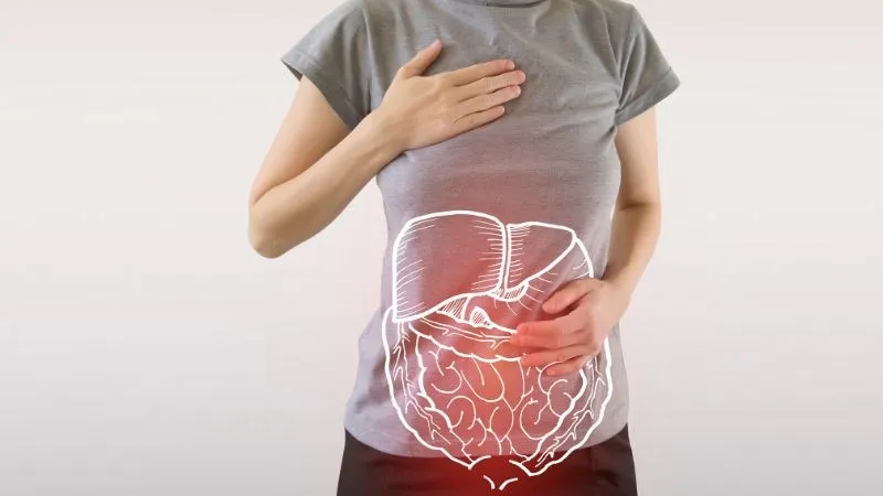Hình ảnh mô tả hệ tiêu hóa khỏe mạnh, minh họa lợi ích của chất xơ trong bắp rang bơ