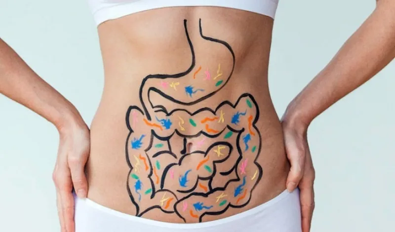 Bắp Mỹ giàu chất xơ giúp hệ tiêu hóa khỏe mạnh và hoạt động hiệu quả