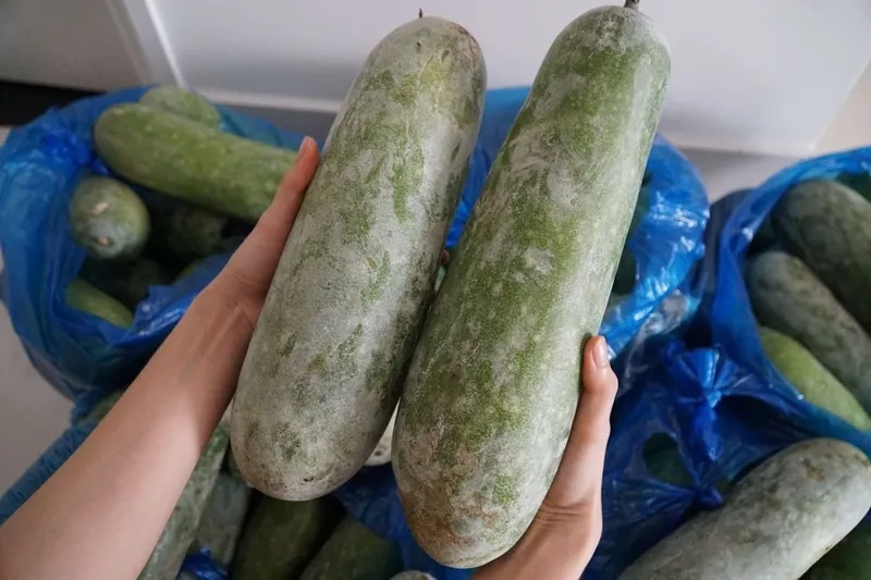 Bí đao bao nhiêu calo là câu hỏi được nhiều người quan tâm