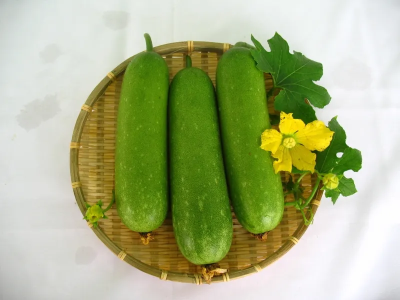 Bạn nên chọn quả bí đao có vỏ màu xanh đậm, không có vết thâm để chế biến