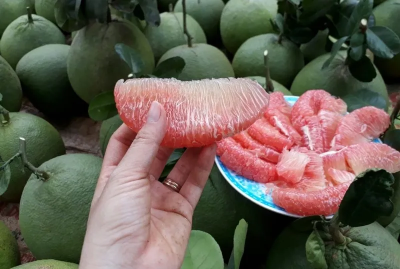 Những múi bưởi vàng ươm, giàu vitamin C giúp tăng cường miễn dịch