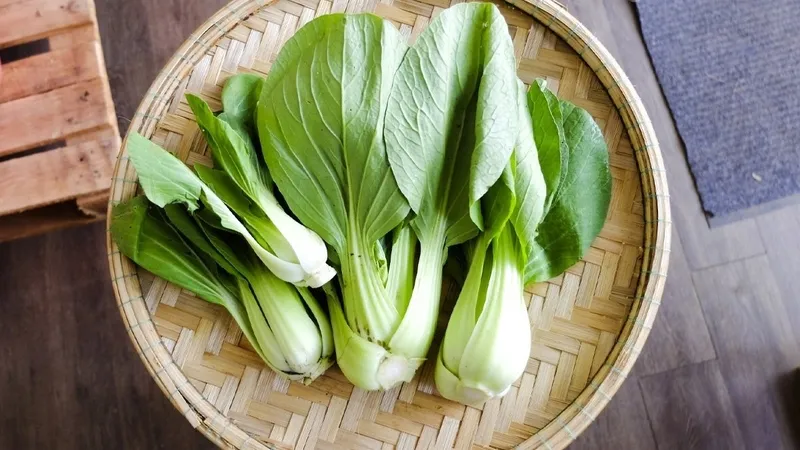 Cải thìa tươi xanh mướt, cung cấp rất ít calo nhưng dồi dào dinh dưỡng