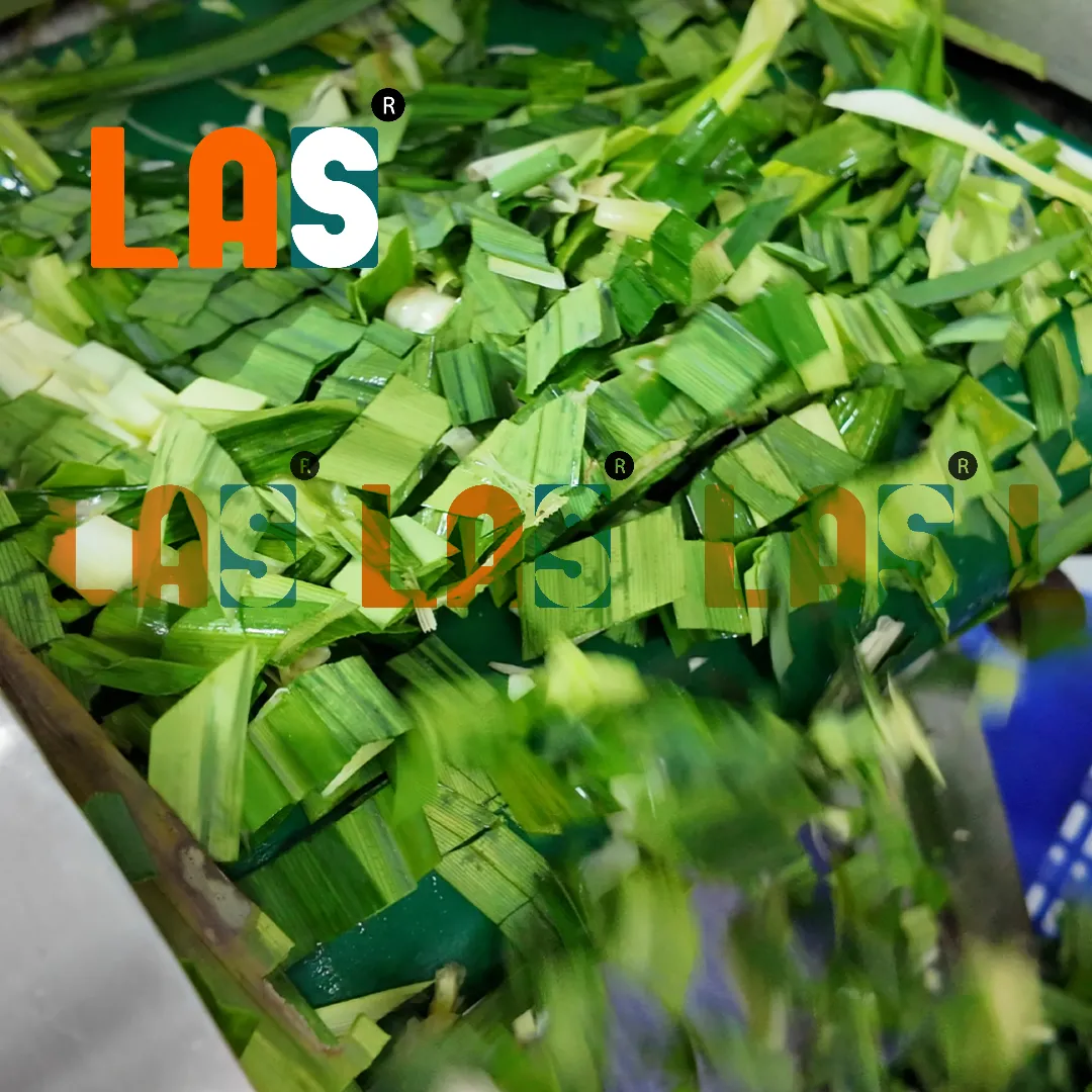 Lá dứa được cắt khúc đều để chuẩn bị sấy khô