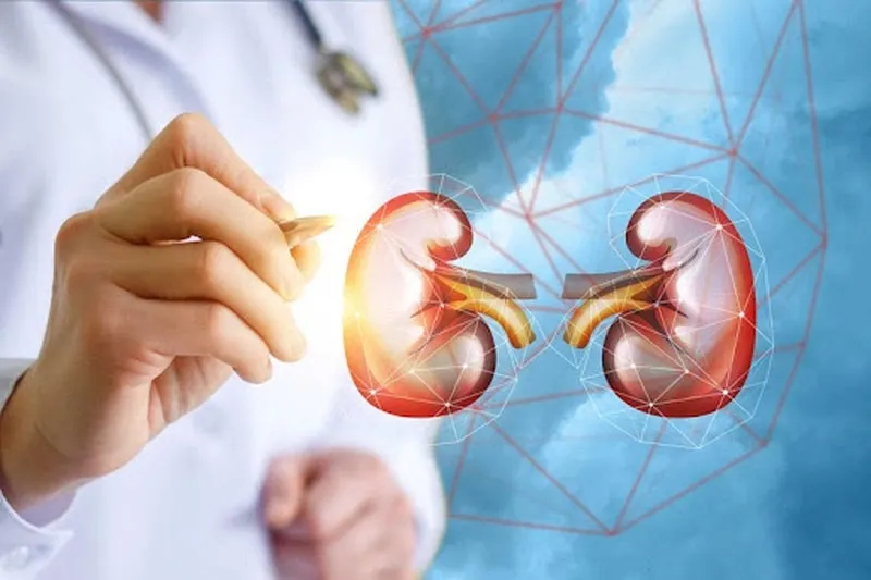 Cật heo giúp cải thiện sức khỏe thận
