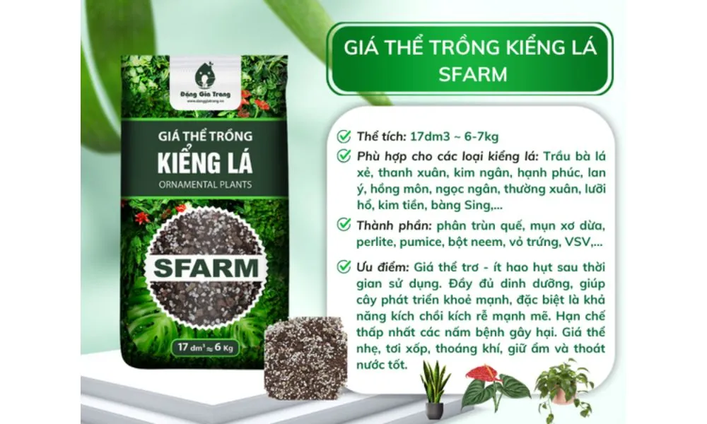 Sản phẩm giá thể kiểng lá của SFARM